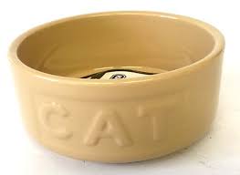 cane spaniel bowl