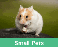 Button image linking to Small Pet Products showing a hamster