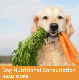 Dog Nutrition Consultation button showing a golden retrieved with a bunch of carrots in its mouth