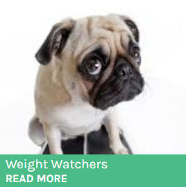 Dog Weight Watchers button showing a dog sitting scales.